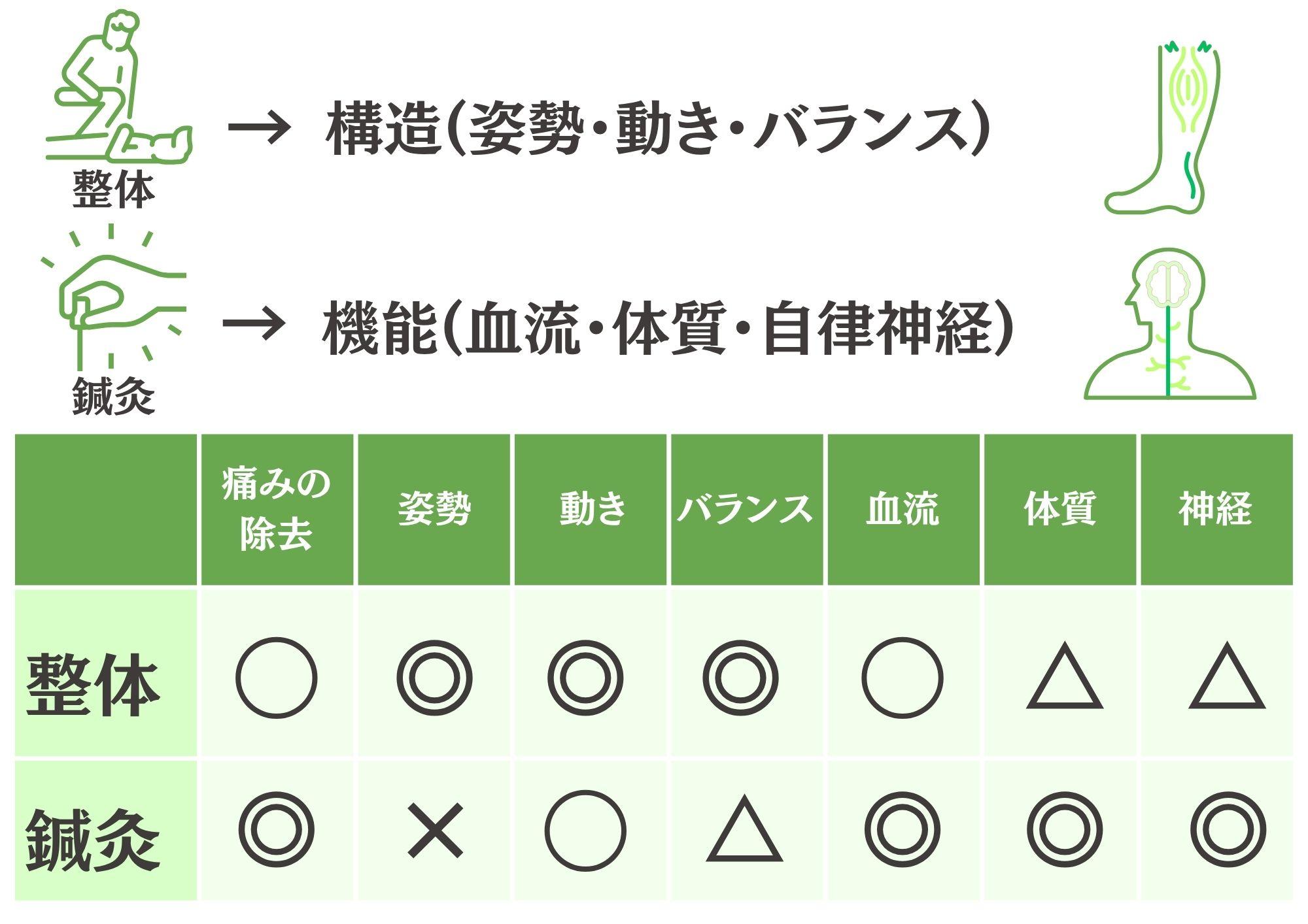 構造と機能のバランス