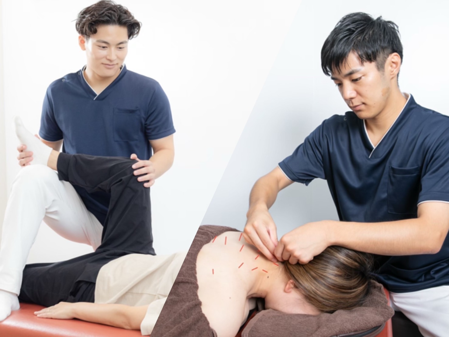 トータルケアイメージ